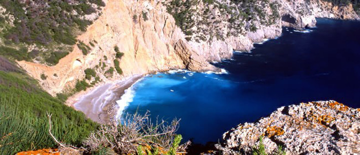 pescaturismemallorca.com excursions en vaixell a Coll Baix Mallorca