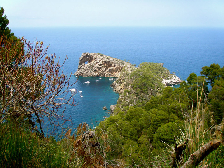 pescaturismemallorca.com excursions en vaixell a sa Foradada Mallorca