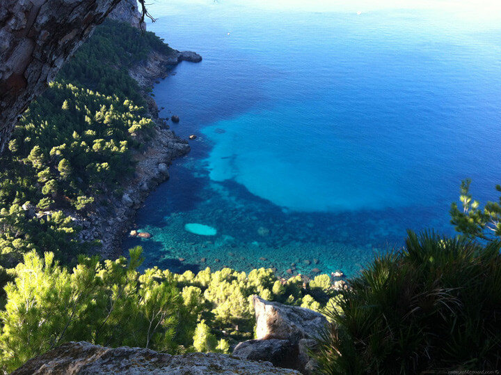 pescaturismemallorca.com excursions en vaixell a ses Ortigues Mallorca