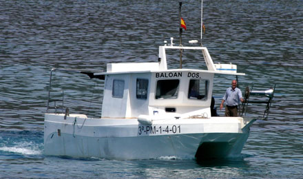 fishingtripmajorca.co.uk boat tours in Majorca with Baloan